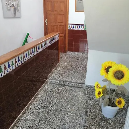 Anaga Y La Laguna A Tus Pies