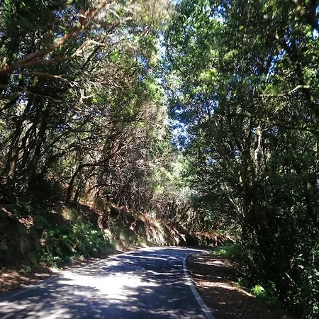 Anaga Y La Laguna A Tus Pies アパート サンタクルスデテネリフェ