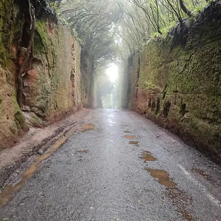 Anaga Y La Laguna A Tus Pies *