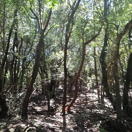 Anaga Y La Laguna A Tus Pies Apartamento