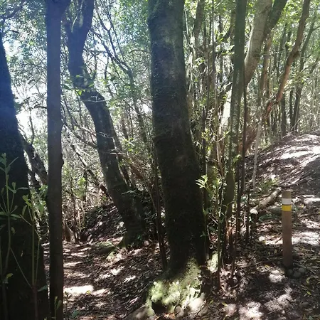 Apartamento Anaga Y La Laguna A Tus Pies