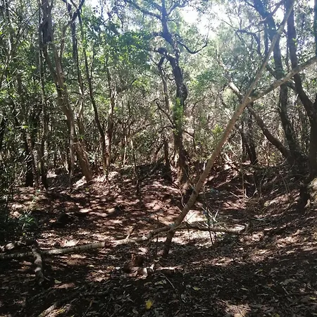 Anaga Y La Laguna A Tus Pies Apartamento *